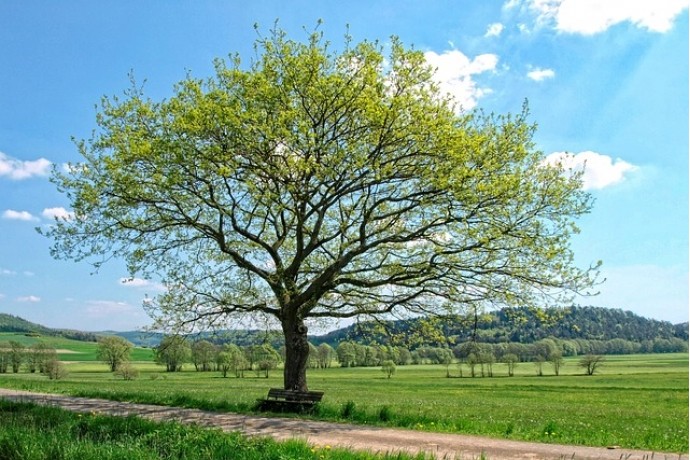 GWの休暇のお知らせ