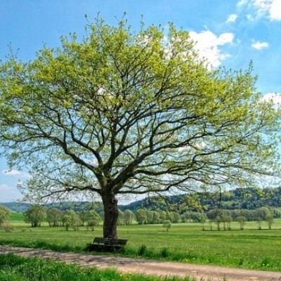 GWの休暇のお知らせ