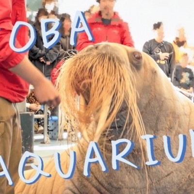 鳥羽水族館いってきました