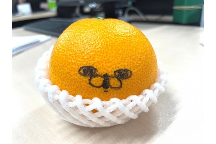 うさぎさーん ((o(｡>ω<｡)o))