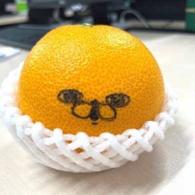 うさぎさーん ((o(｡>ω<｡)o))