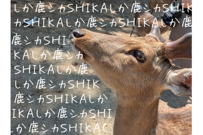 奈良でシカと戯れる