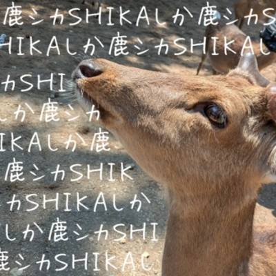 奈良でシカと戯れる