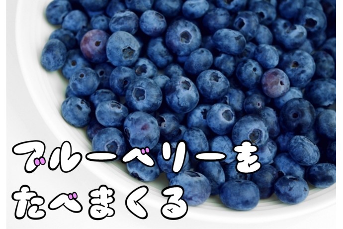 ひと狩りいこうぜ！