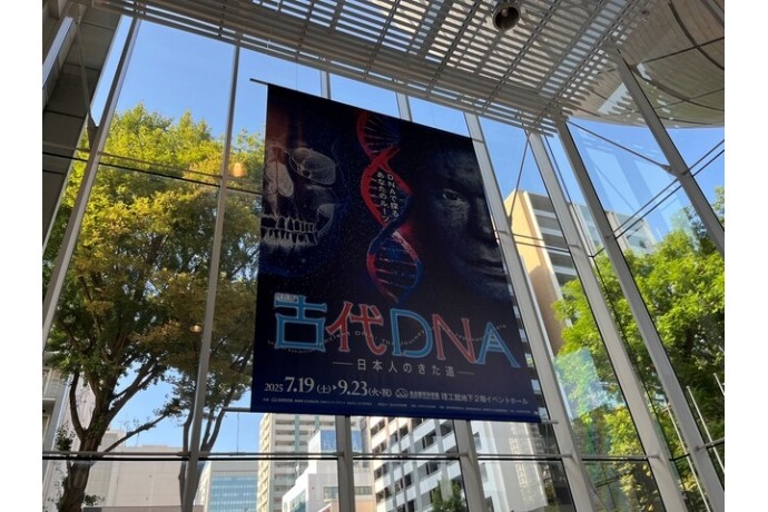 古代DNA展