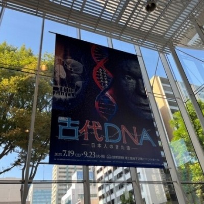 古代DNA展